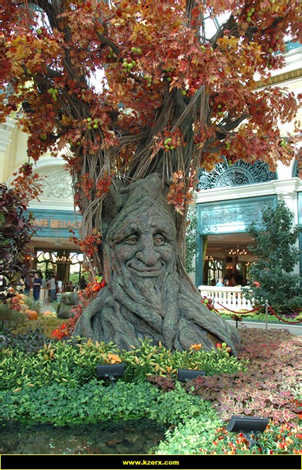 Bellagio