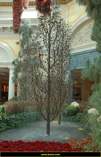 Bellagio