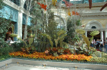 Bellagio