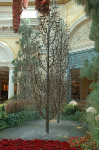 Bellagio