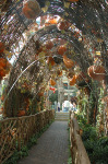 Bellagio
