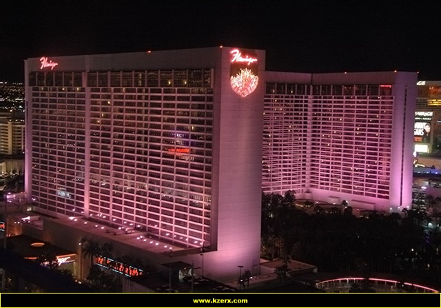The Flamingo