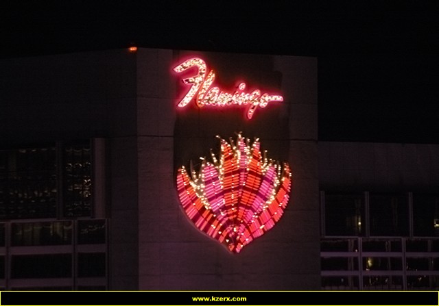 The Flamingo