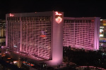 The Flamingo