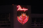 The Flamingo