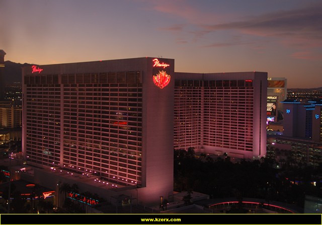 The Flamingo