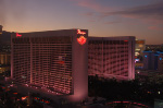 The Flamingo