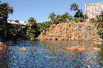 The Mirage