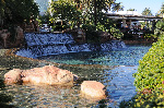 The Mirage