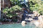The Mirage