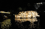 The Mirage