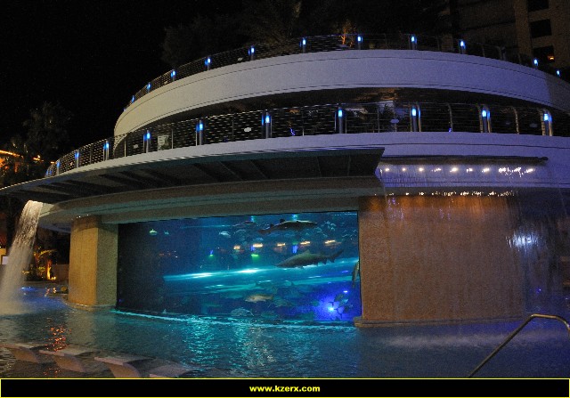 The Golden Nugget