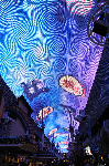 The Fremont Street Experience