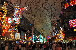 The Golden Nugget