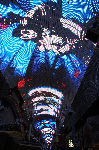 The Fremont Street Experience