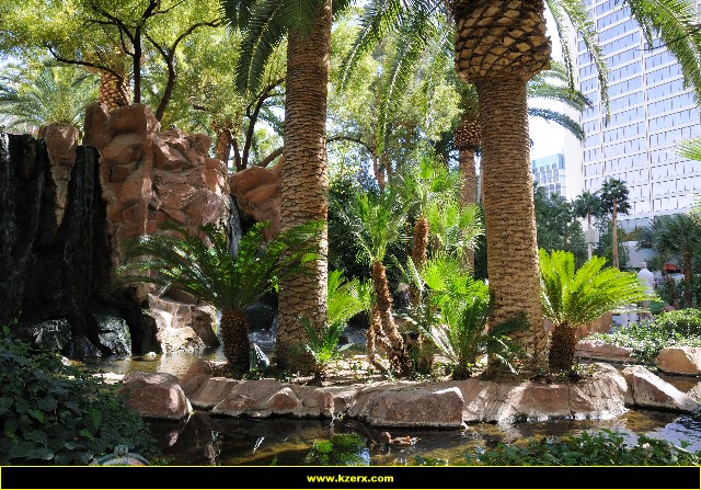 The Flamingo