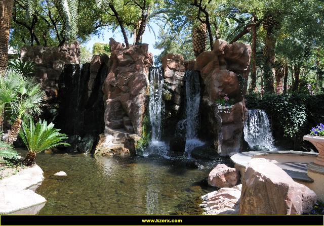 The Flamingo
