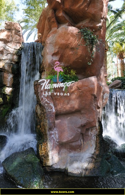 The Flamingo