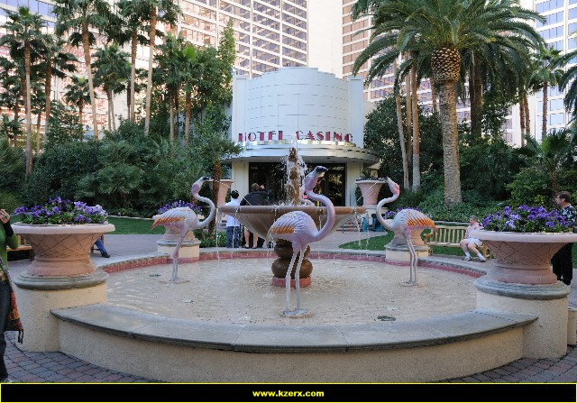 The Flamingo