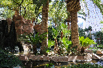 The Flamingo