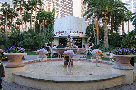 The Flamingo