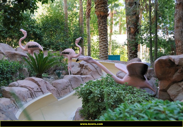 The Flamingo