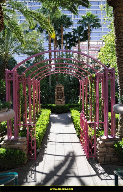 The Flamingo