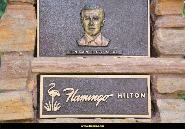 The Flamingo