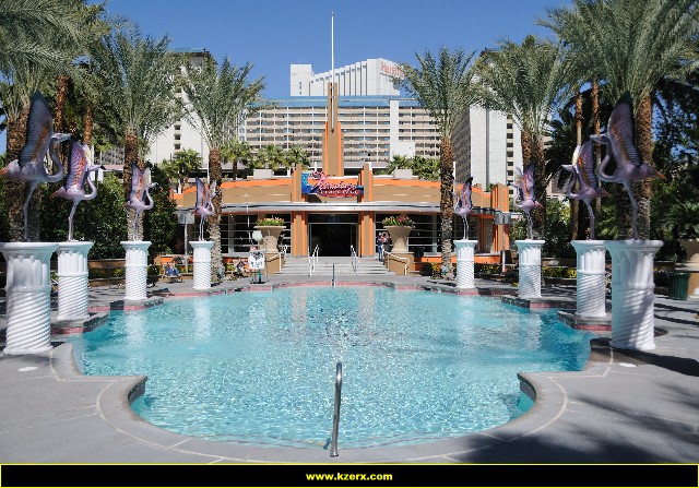 The Flamingo