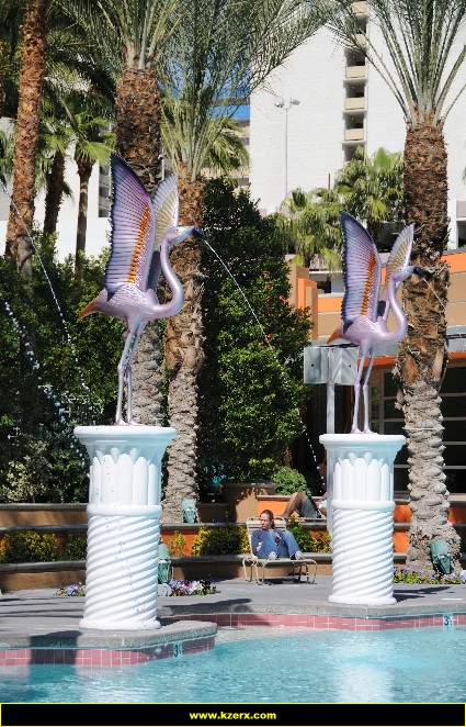 The Flamingo