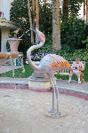 The Flamingo