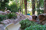 The Flamingo