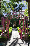 The Flamingo
