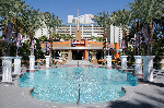 The Flamingo