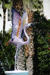 The Flamingo