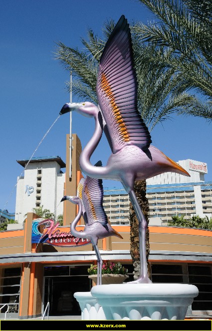 The Flamingo