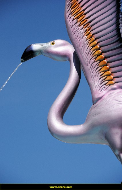 The Flamingo
