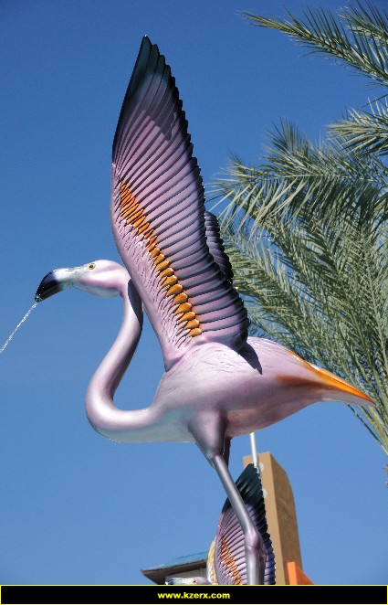 The Flamingo