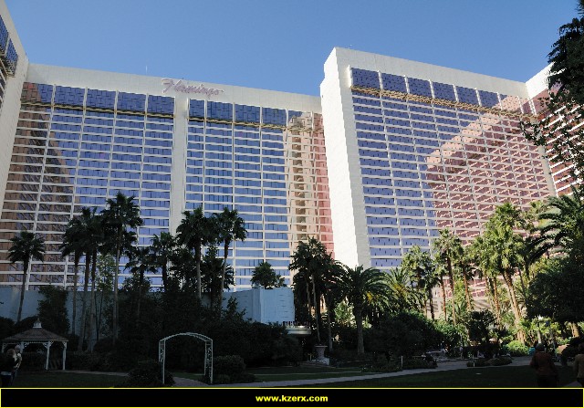 The Flamingo
