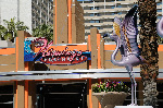 The Flamingo
