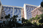 The Flamingo
