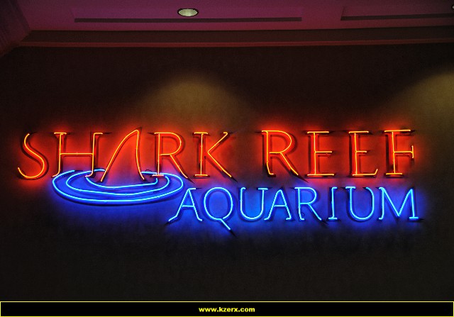 The Shark Reef at Mandalay Bay