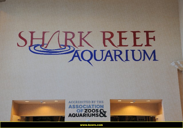 The Shark Reef at Mandalay Bay