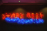 The Shark Reef at Mandalay Bay