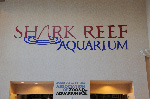 The Shark Reef at Mandalay Bay