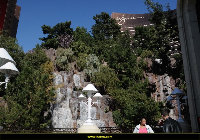 The Wynn