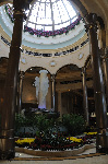 The Palazzo