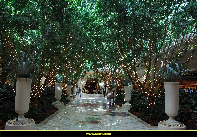 The Wynn