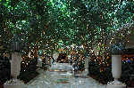 The Wynn