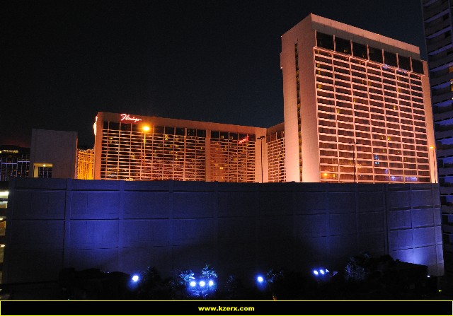 The Flamingo